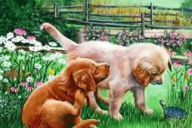 cachorro jigsaw puzzle