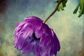 imagens jigsaw puzzle