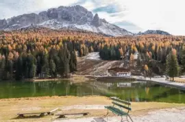 NATUREZA jigsaw puzzle