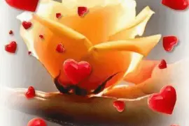 imagens jigsaw puzzle