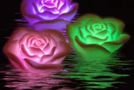 imagens jigsaw puzzle