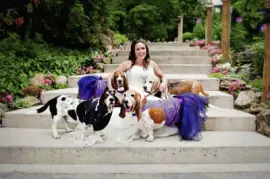 Bride and Her Basset Hound Wedding Party jigsaw puzzle