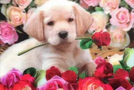 lindos jigsaw puzzle