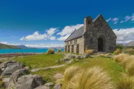 NATUREZA jigsaw puzzle