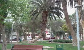 Paisaje jigsaw puzzle