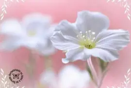 imagens jigsaw puzzle