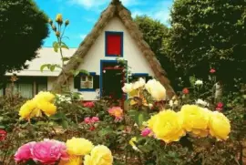 cabana jigsaw puzzle