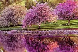 Landschaft jigsaw puzzle