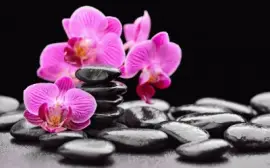 uztf rtdtrdutf vfzt jigsaw puzzle