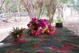 Fleurs de la RÃ©union jigsaw puzzle