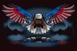 פאזל של thanks vets