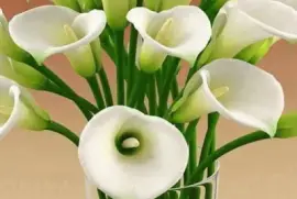 imagens jigsaw puzzle