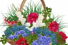 imagens jigsaw puzzle