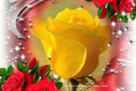 imagens jigsaw puzzle