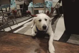 pictures of my family