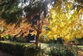 Cerca de Bariloche. RÃ­o Negro. Argentina jigsaw puzzle