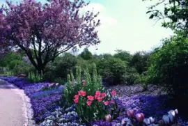 Landschaft jigsaw puzzle