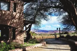 En Cafayate. Salta. Argentina