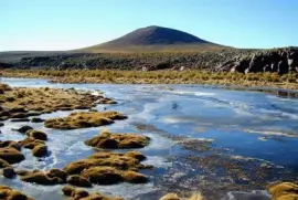 Antofagasta de la Sierra. Catamarca. Argentina