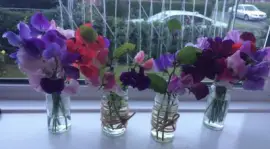 פאזל של Gorgeous Display of Fresh Cut Flowers