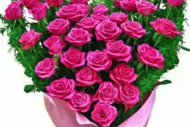 פאזל של imagens