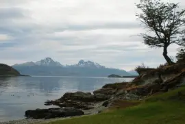 En Tierra del Fuego. Argentina