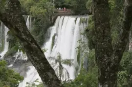 En el PN IguazÃº. Misiones. Argentina