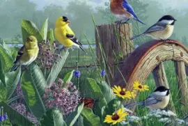 Pajaros, en pintura