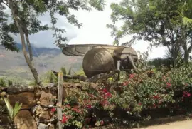 hormiga santandereana