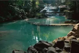 Thailand - Beautiful Pictures (1)