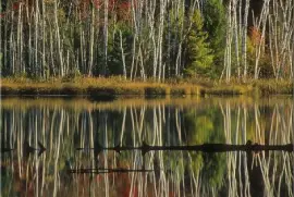 פאזל של mini-island-in-a-lake