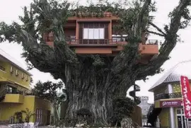 פאזל של mime-attachment27