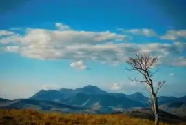 SÃ£o JoÃ£o Nepomuceno-MG