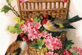 passarinhos jigsaw puzzle