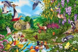 pÃ¡ssaro jigsaw puzzle