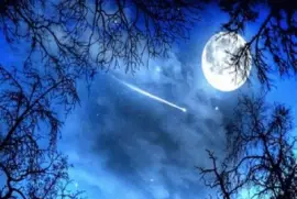 פאזל של august18