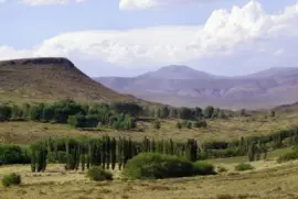 A la vera de la RN 40. NeuquÃ©n. Argentina