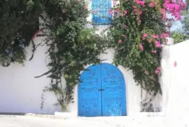 Puerta y Flores