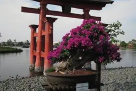 imagens jigsaw puzzle