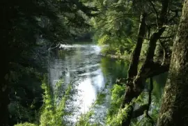 RÃ­o Manso. Provincia de RÃ­o Negro. Argentina jigsaw puzzle