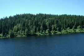 Waldsee jigsaw puzzle