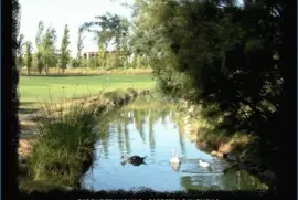 PARQUE TRANQUILO - CABECERA (VALENCIA)