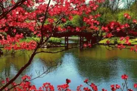 Landschaft jigsaw puzzle