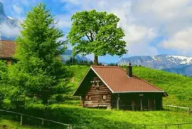 imagens jigsaw puzzle