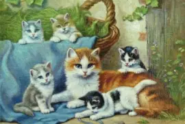 gatinhos jigsaw puzzle