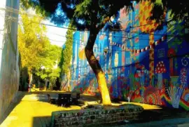 CallejÃ³n Pedro Viera - Montetideo jigsaw puzzle