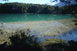 Lago Mascardi. RÃ­o Negro. Argentina jigsaw puzzle