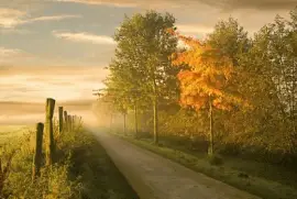 NATUREZA jigsaw puzzle