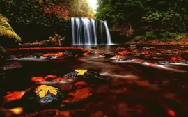 cascada jigsaw puzzle