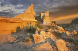 NATUREZA jigsaw puzzle